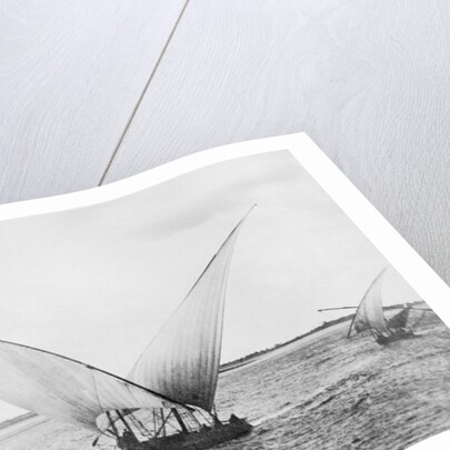Sailboat on the Nile by Anonymous