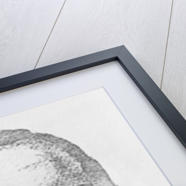 Sketch of Highjacking Suspect D. B. Cooper by Anonymous