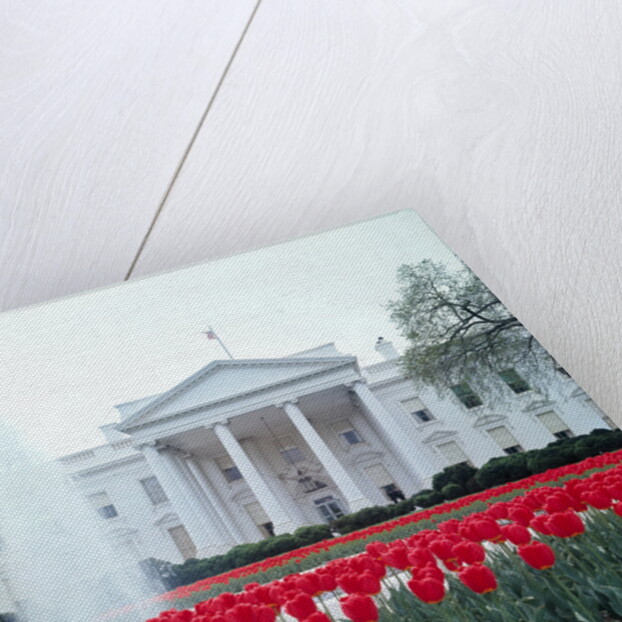 The White House by Anonymous