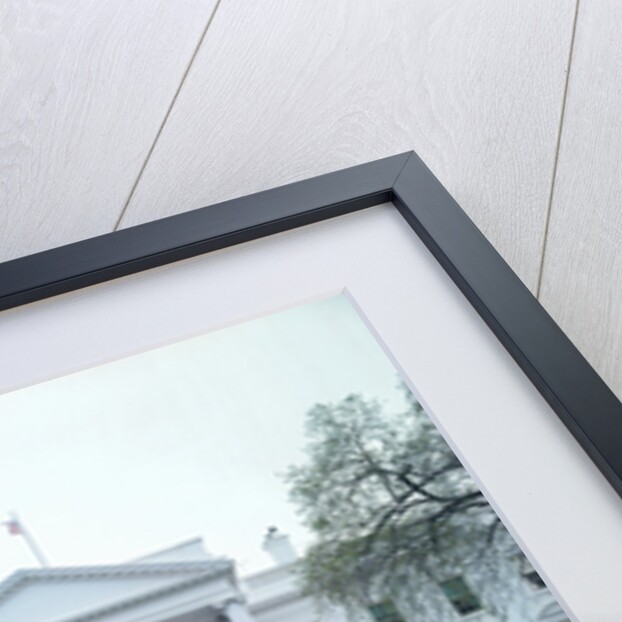 The White House by Anonymous