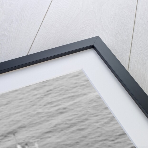 The Ship Trans Hawaii Ramming Into a Freighter by Anonymous