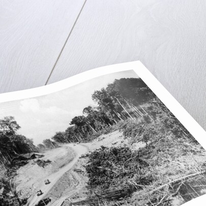 Trans Amazon Highway by Anonymous