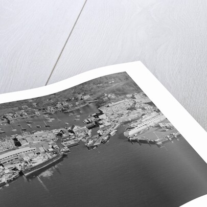 Aerial View of the Woods Hole Oceanographic Institute by Anonymous