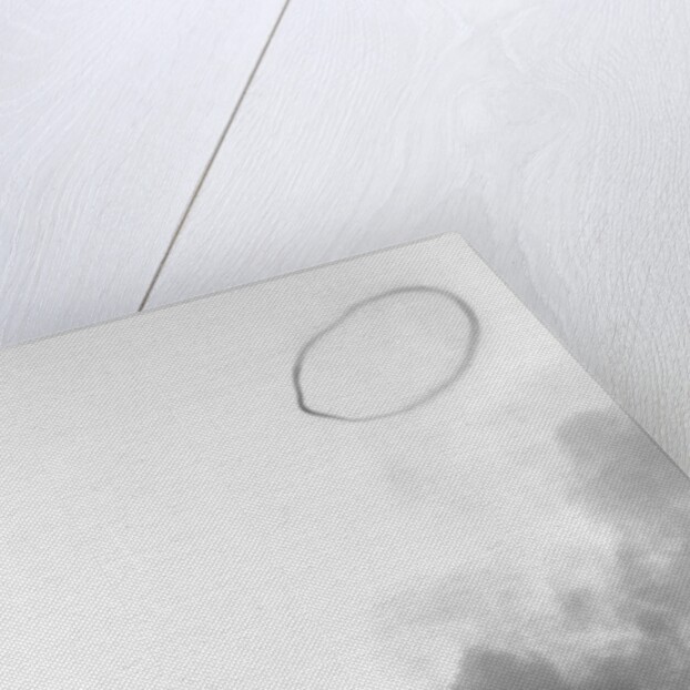 Smoke Ring Appearing Above Explosion by Anonymous