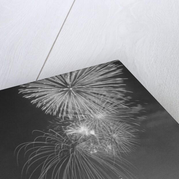 Fireworks on the Fourth of July by Anonymous