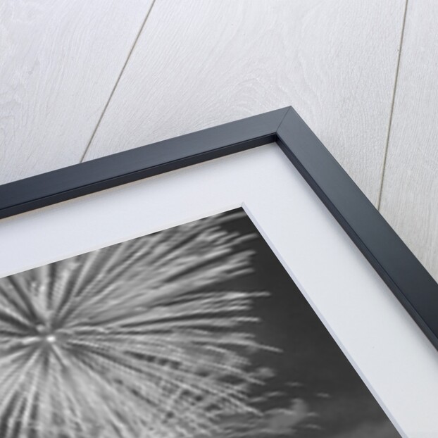 Fireworks on the Fourth of July by Anonymous