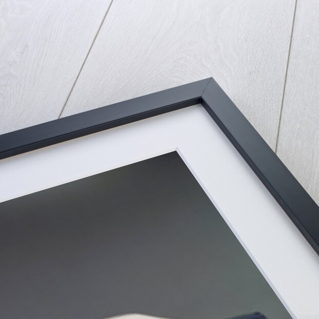 New Ford LTD Automobile by Anonymous