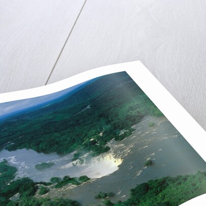 River and Forest by Anonymous