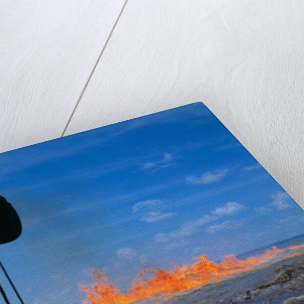 Oil Burning on the Waters by Anonymous