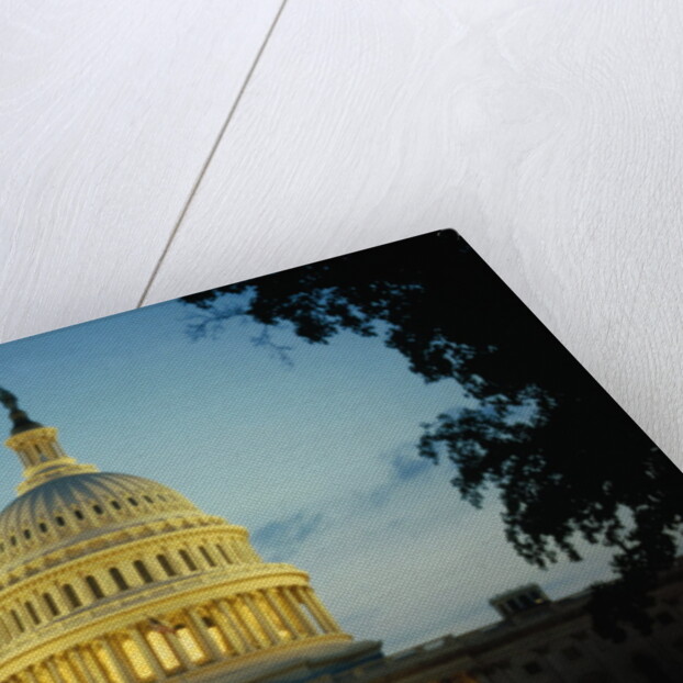 United States Capitol Building at Dusk by Anonymous