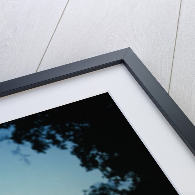 United States Capitol Building at Dusk by Anonymous