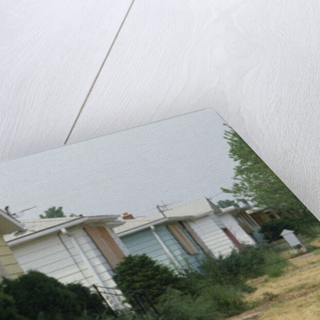 Boarded-Up Homes by Anonymous