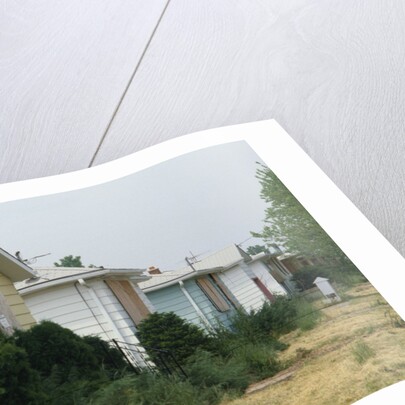 Boarded-Up Homes by Anonymous