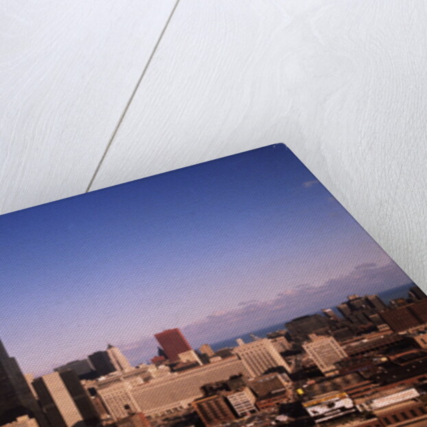 Skyline with Sears Tower by Anonymous