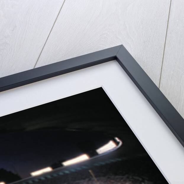Busch Memorial Stadium by Anonymous