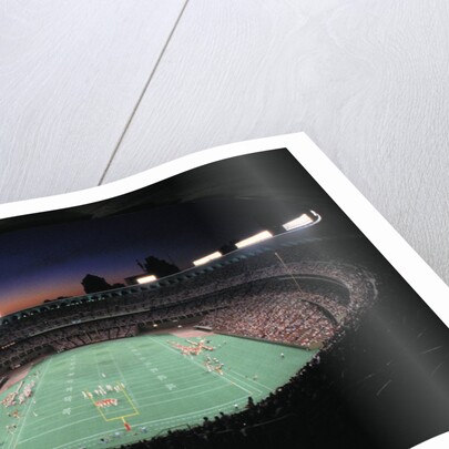 Busch Memorial Stadium by Anonymous