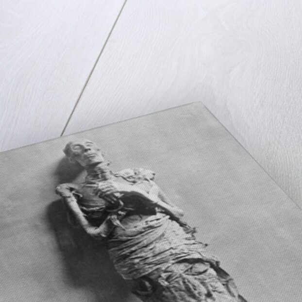 Mummy of Rameses II by Anonymous