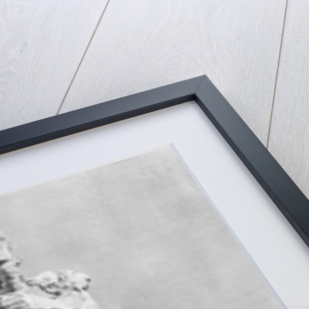 Mummy of Rameses II by Anonymous