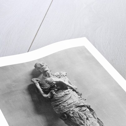 Mummy of Rameses II by Anonymous