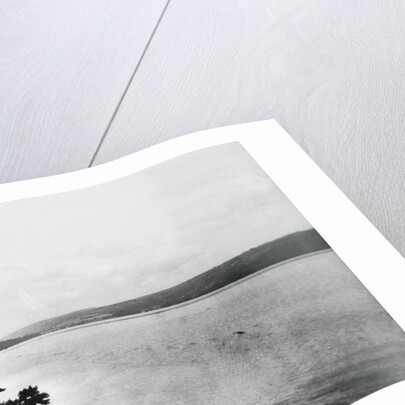 Alleged Image of Loch Ness Monster by Anonymous