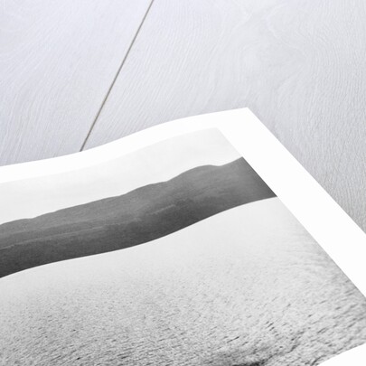 Supposed Sighting of the Loch Ness Monster by Anonymous