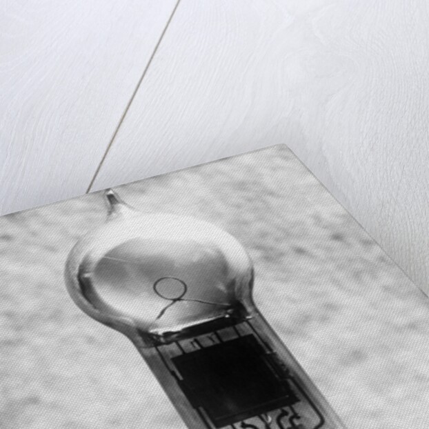 View of Early Light Bulb by Anonymous