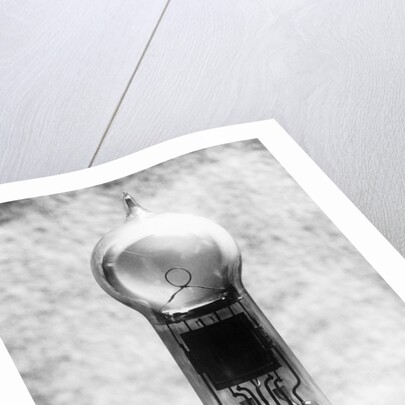 View of Early Light Bulb by Anonymous