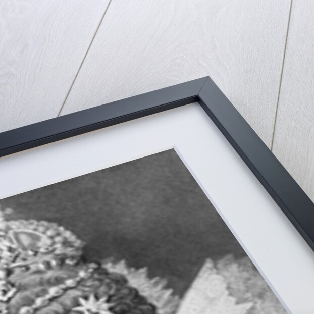 Engraving of Queen Elizabeth I in Royal Dress by Anonymous