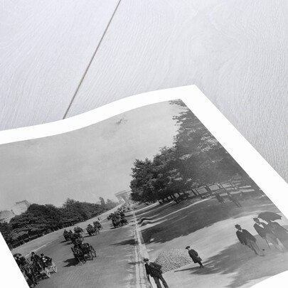 Famous Bois De Boulogne by Anonymous