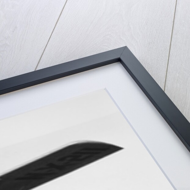 Spirit of St. Louis in Flight by Anonymous