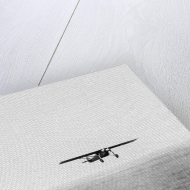 View of Charles Lindberg's Plane by Anonymous