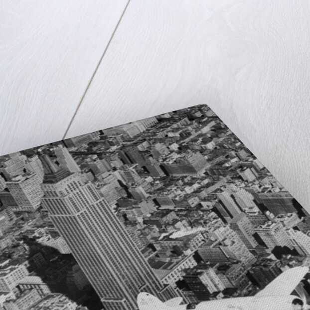 Hawks Airplane in Flight over New York City by Anonymous