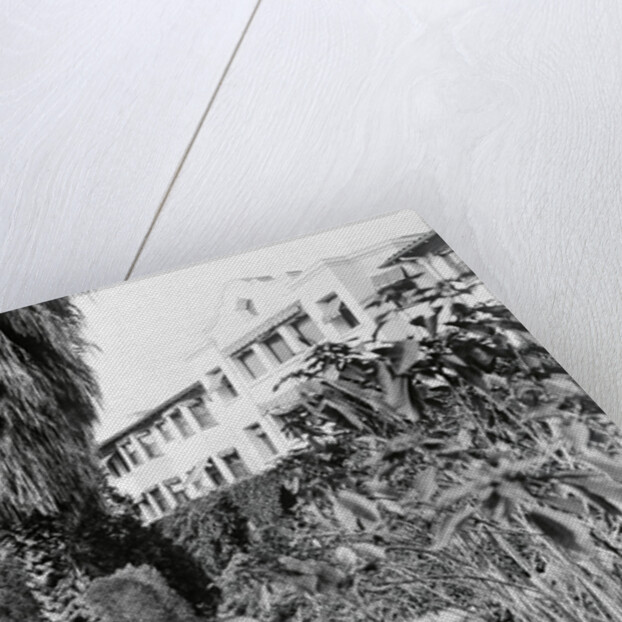 Exterior View of the Beverly Hills Hotel by Anonymous