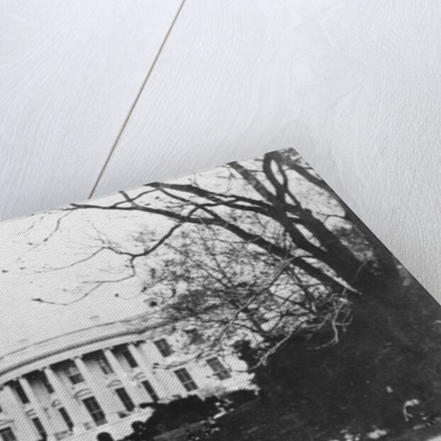 The White House by Anonymous