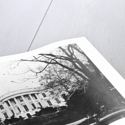 The White House by Anonymous