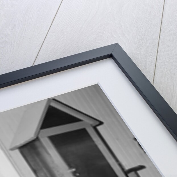 Racehorse Seabiscuit by Anonymous