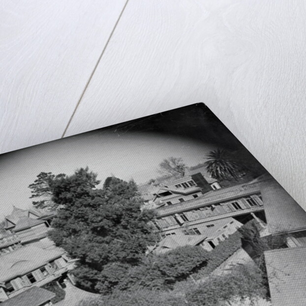 Winchester Mystery House by Anonymous