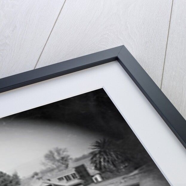 Winchester Mystery House by Anonymous