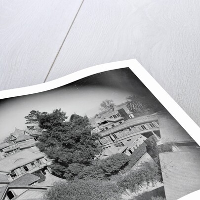 Winchester Mystery House by Anonymous