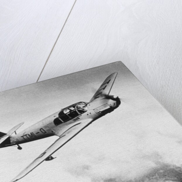 Airplane During Race Flight by Anonymous