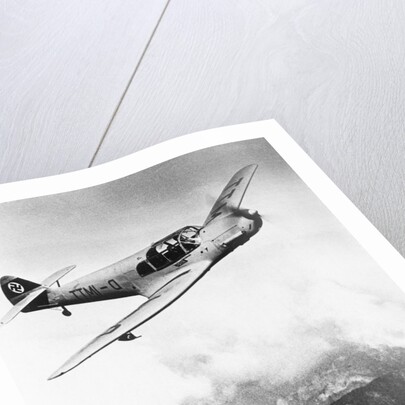 Airplane During Race Flight by Anonymous
