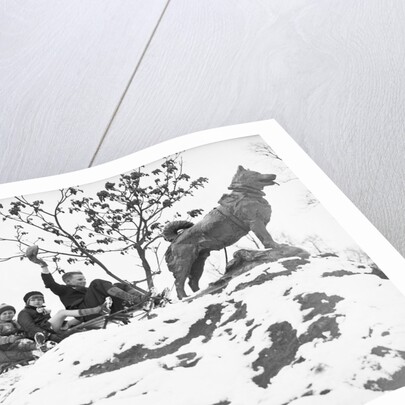 Children on Sleigh Near Statue Dedicated to Hero Dog by Anonymous