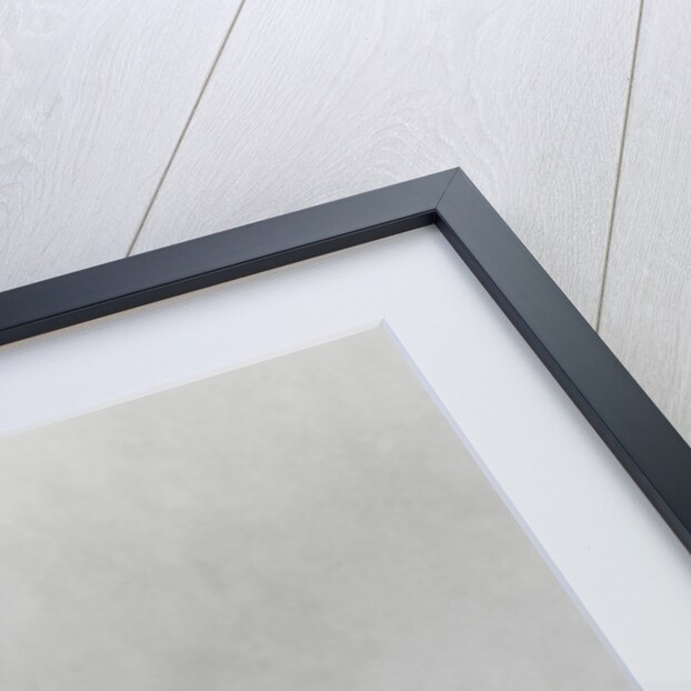 Illustration of Military Rocket Compartments by Anonymous