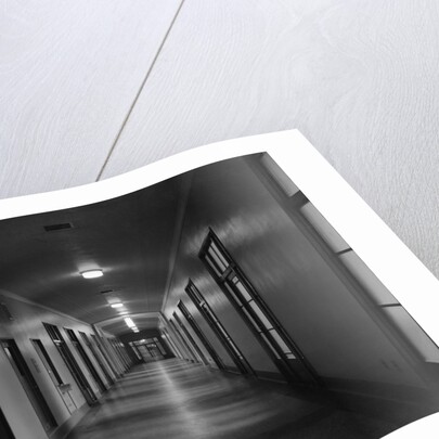 Hallways of The Department of Justice by Anonymous
