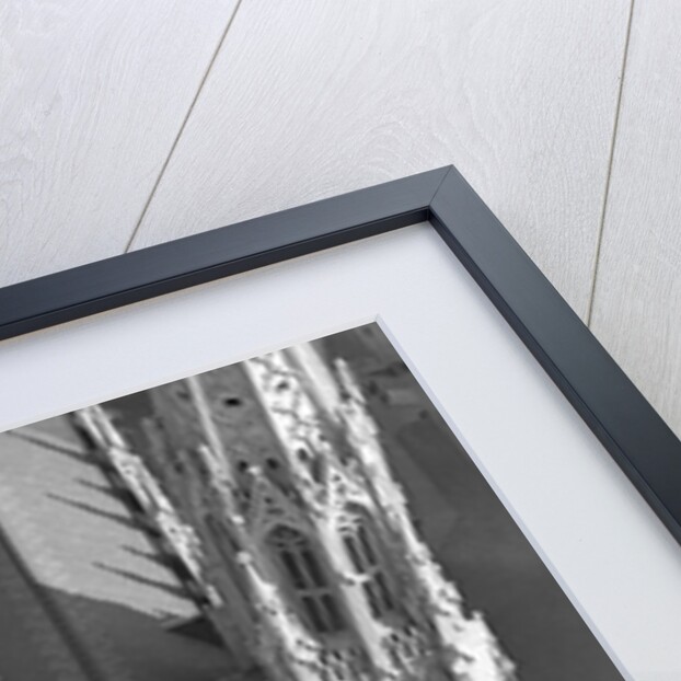 St. Patrick's Day Parade by Anonymous