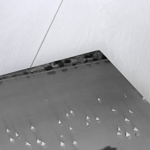 Blimp Shadow Over Regatta by Anonymous