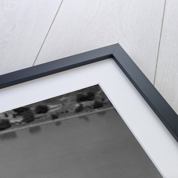 Blimp Shadow Over Regatta by Anonymous