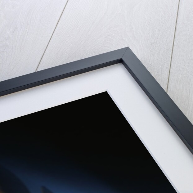 Space Shuttle Columbia by Anonymous