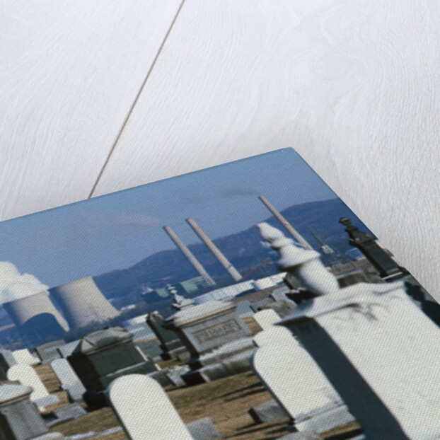 Nuclear Plant and Cemetery by Anonymous