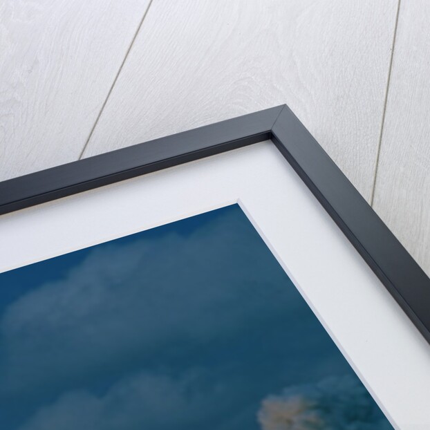 Shuttle Columbia Lifting Off by Anonymous